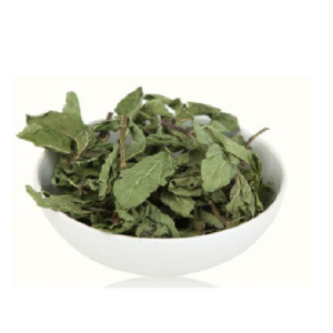 Vacuum Dehydrated Mint Leaves