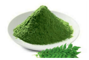 Vacuum Dehydrated Curry Leaves Powder
