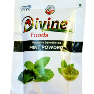 Vacuum Dehydrated Mint Leaves Powder