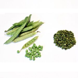 Vacuum Dehydrated Green Peas